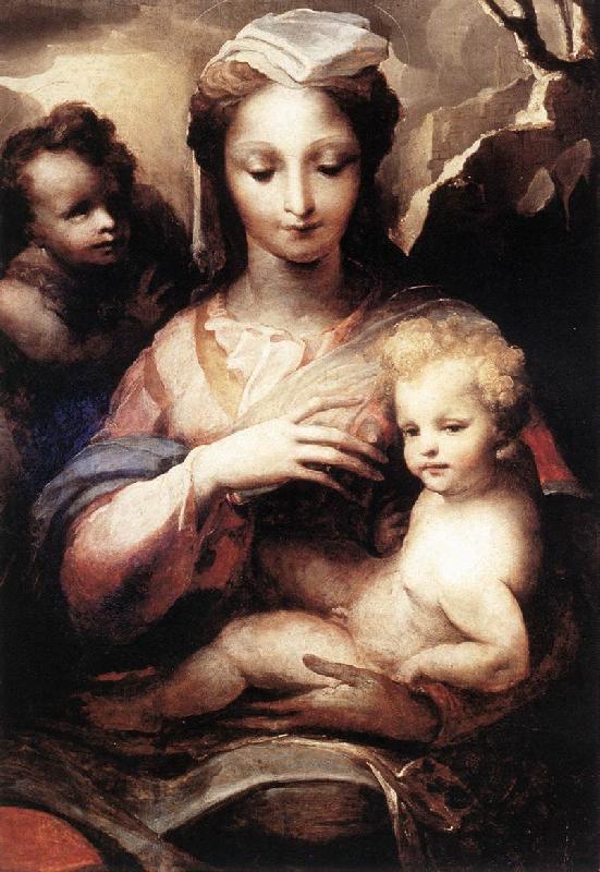 BECCAFUMI, Domenico Madonna with the Infant Christ and St John the Baptist  gfgf France oil painting art